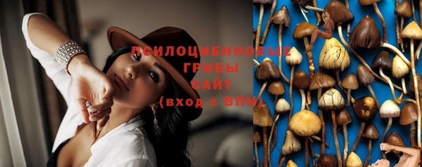ECSTASY Заволжье