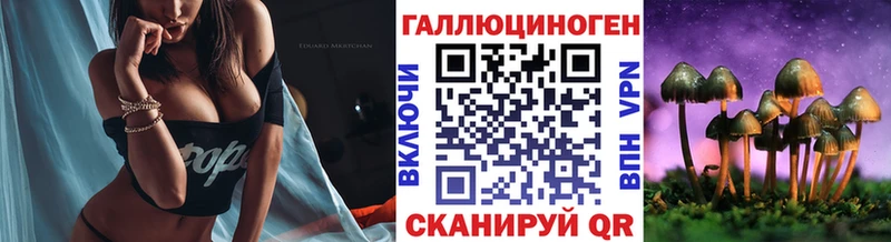 Купить где  Верхняя Салда  Галлюциногенные грибы GOLDEN TEACHER 